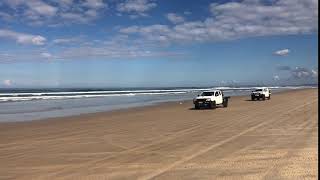 Two cars disturbing pied oystercatchers on South Ballina beach.