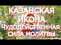 Казанская икона Божией Матери. Великая сила молитвы.  Просите сегодня о самом важном