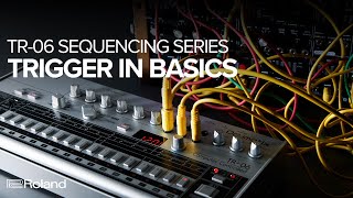 Roland Boutique TR-06 Drumatix Sequencing Series - Trigger In Basics