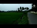kegiatan ON PKB KKG MI Bireuen Aceh - asfiah, S.Pd.I
