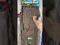 He Hid the Wires… But Ruined the Wall