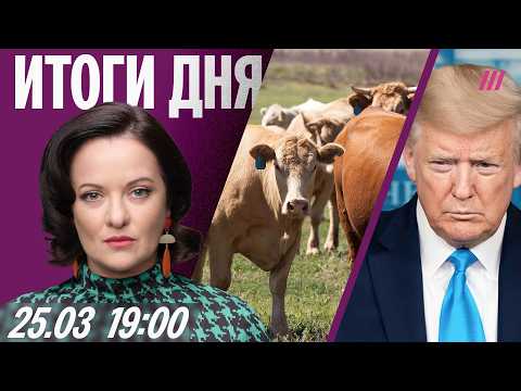Youtube видео