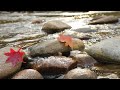 New Hampshire- Fall fun