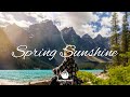 Indie Folk Music 2021| Best Indie/Folk Playlist of March 2021 - Spring Sunshine | Dreamy Music