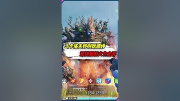 【使命召唤手游】马卡洛夫打树妖测评，双持腰射火力全开 #使命召唤手游 #CODM #小极地codm #小极地游戏解说