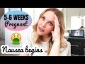 5-6 WEEK PREGNANCY UPDATE | Nausea, cravings, food aversions | Baby #2