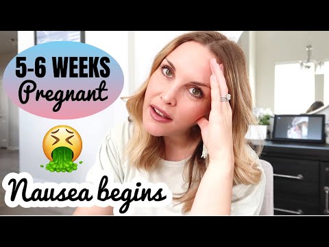 5-6 WEEK PREGNANCY UPDATE Nausea cravings food aversions Baby 2