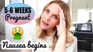 5-6 WEEK PREGNANCY UPDATE | Nausea, cravings, food aversions | Baby #2