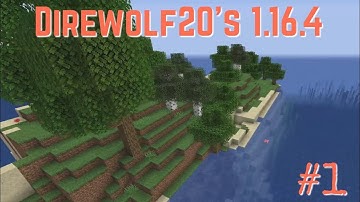 Direwolf20 1.16 Ep 1 Small Island Large Starter House