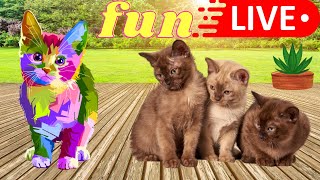 Best Funny Cat Videos 2023 😂 || Funny Animals Video 😆 || Cat Video Compilation || CAT LOVER BOY 2619