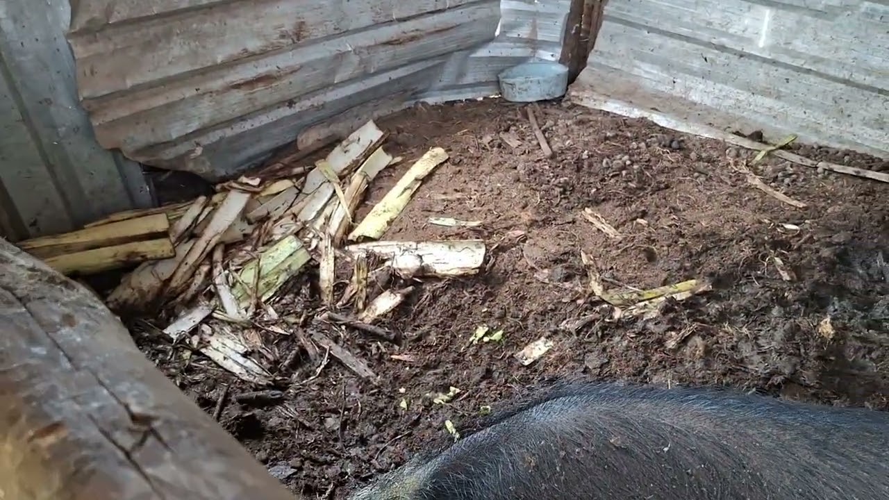 พาเที่ยวชมวิถีบ้านๆ