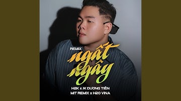 Ngất Ngây (Remix)