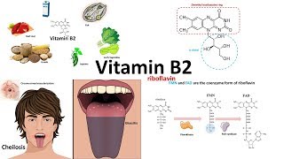 Vitamin B2 riboflavin : sources,structure and deficiency