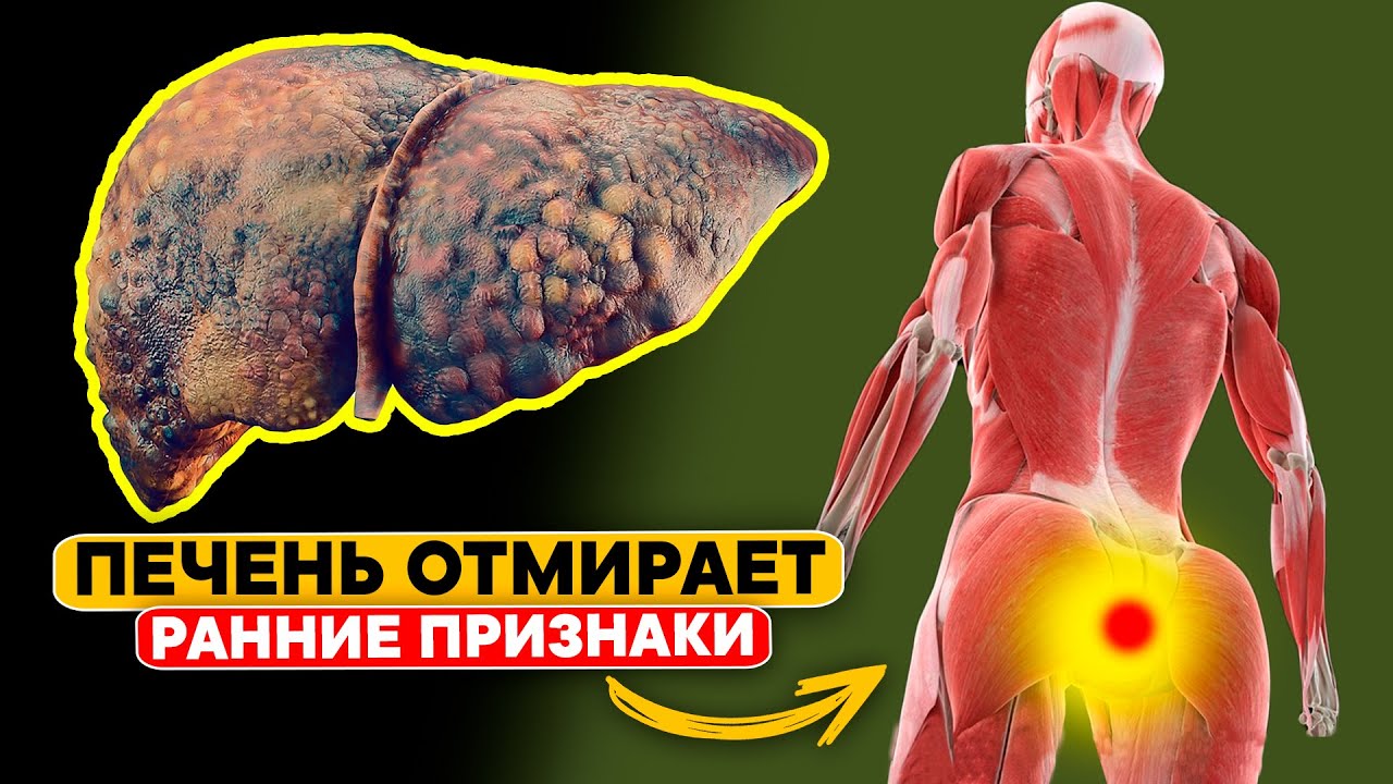 от чего чешется голова?