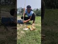 Smart Egg & Banana Rat Trap! 🥚🍌 Primitive Bamboo Lever Cage Setup! 🐀⚙️ #hammerlock