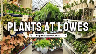 LOWES PLANT SHOPPING IN CANADA | INDOOR AND OUTDOOR TRENDING TROPICALS + PLANT DECOR