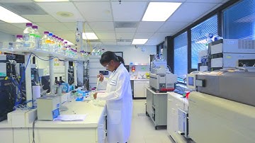 Behind the Scenes: Kinetex Core-Shell HPLC Columns for Reversed Phase Chromatography
