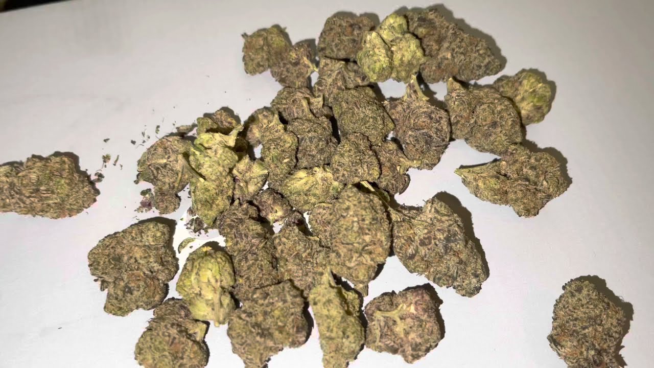 Zaza or Organic or PGR flowers? 😂 YouTube