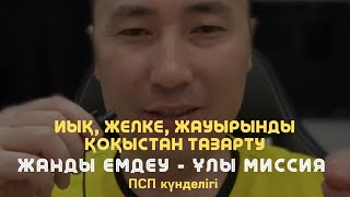 😇 ИЫҚ, ЖЕЛКЕ, ЖАУЫРЫНДАҒЫ ҚОҚЫСТАН АРЫЛУ МЕДИТАЦИЯСЫ / Алмас АҚЫН рухани ұстаз, ПСП