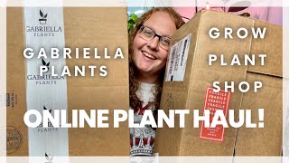 Gabriella Plants AND Grow Plant Shop Online Plant Haul/Plant Unboxing