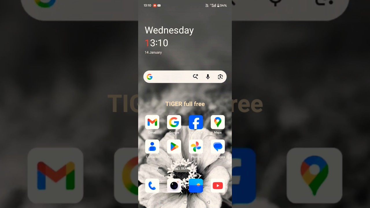 full free 1000 movies and tv show 🤩