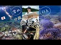日本沖繩最美海洋！珊瑚天堂潛水，還釣到頂級石斑魚🔥🐟 晚上深入叢林，尋找八重山圓翅鍬形蟲！【西表島】
