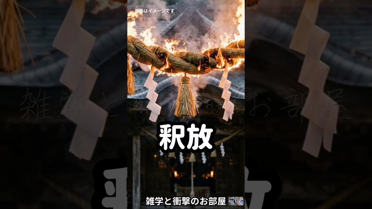 【異常】放火で釈放 #shorts