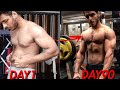 The truth about 90 day body transformation