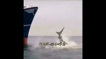 (إِنَّ ٱلۡإِنسَـٰنَ لِرَبِّهِۦ لَكَنُودࣱ...)بصوت القارئ الشيخ خالد الجليل#قرآن_كريم #خالد_الجليل