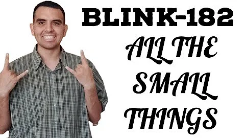 BLINK 182 ALL THE SMALL THINGS (Lip Sync)
