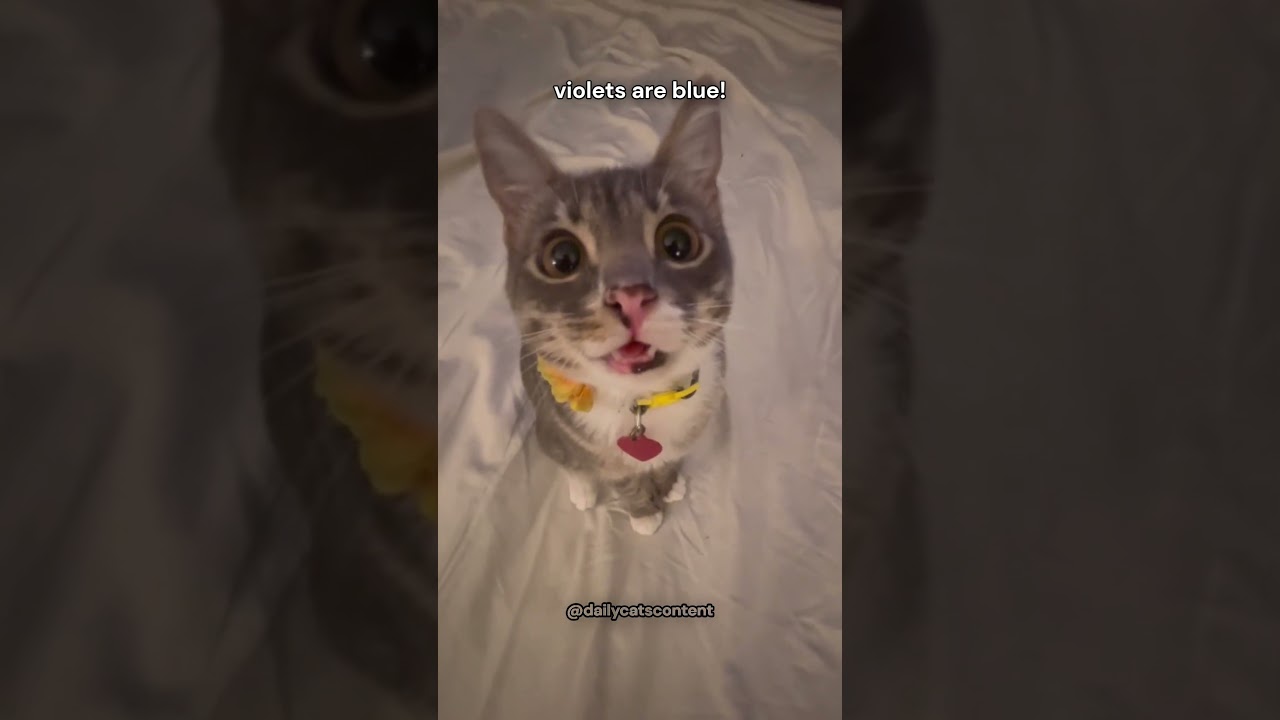 That shadow you saw...