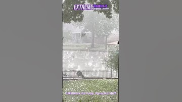 ⛈️Gigantic Hail in Storm😲#youtube #hail #hailstorms #shorts #hailstones
