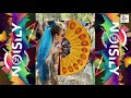 Noisily festival 2022 coney woods leicestershireuk  tadahtv