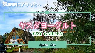 新潟観光＆グルメ【ヤスダヨーグルト】Y&Y GARDENでスイーツ