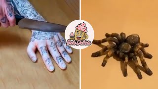 Bolos INCRÍVEIS 😮 que parecem objetos 2 | Compilação de Bolos Decorados | Bolo Delícia Oficial