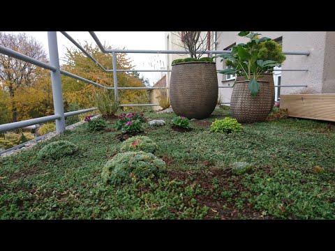 Video: Nafukovací Střešní Zahrada V Soulu