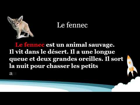 Le Fennec