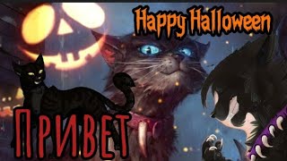 Коты Воители //Привет// 🎃Happy Hellowen 🎃