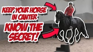 What To Do If Your Horse Keeps Falling Out Of Canter Back Into Trot? - Train With Tash