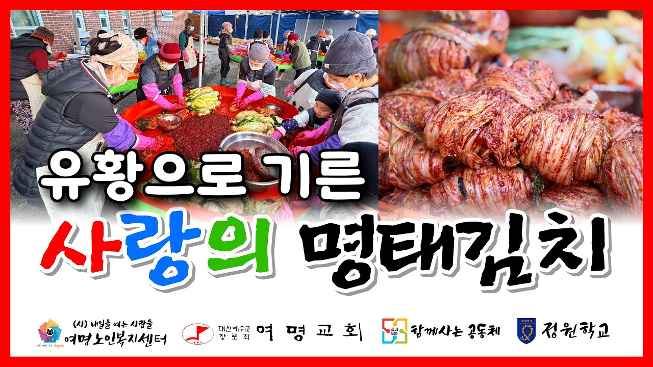 유황 배추 1100포기 김장축제 현장! 지역 어르신 300가구 따뜻한 겨울 선물 [전주김장축제]