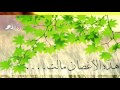 هذه الأغصان مالت صوت ندي