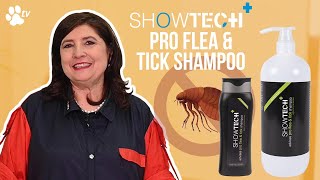 Show Tech+ Pro Flea & Tick pet shampoo | TRANSGROOM