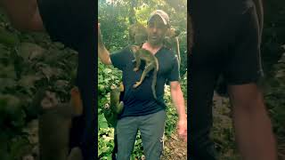 A French Guyana Island where Squirrel Monkeys 🐒 are Kings