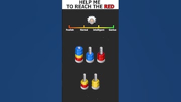 Nut Sort 3D: Color Match
