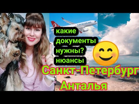 ✅ Перевозка собаки в Турцию в самолёте ✅ Документы для авиаперевозки собаки Санкт-Петербург-Анталья