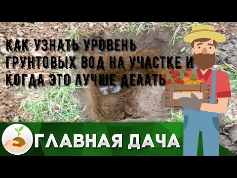 Как узнать уровень грунтовых вод на участке и когда это лучше делать