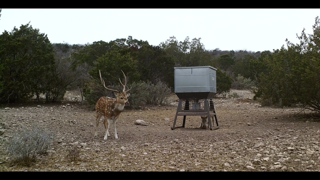 +/-51.07 Acres w Water, Elec, Cabin. 