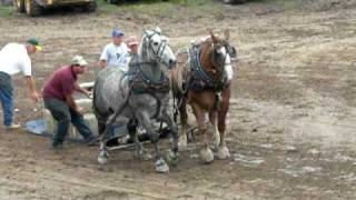 Draft Pulling Contest