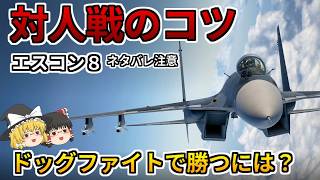 [Beginner’s Guide: Ace Combat 8 Online] Tips for Winning Dogfights Against Other Players! Sorry i... screenshot 2