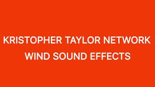 Kristopher Taylor Network Wind Cartoon Sound Effects
